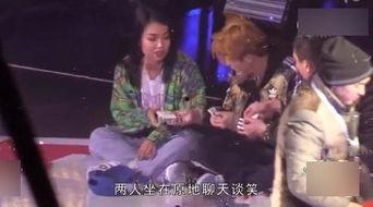 春节爆料视频大全集最新,精彩瞬间回顾,年度盛宴精彩重现